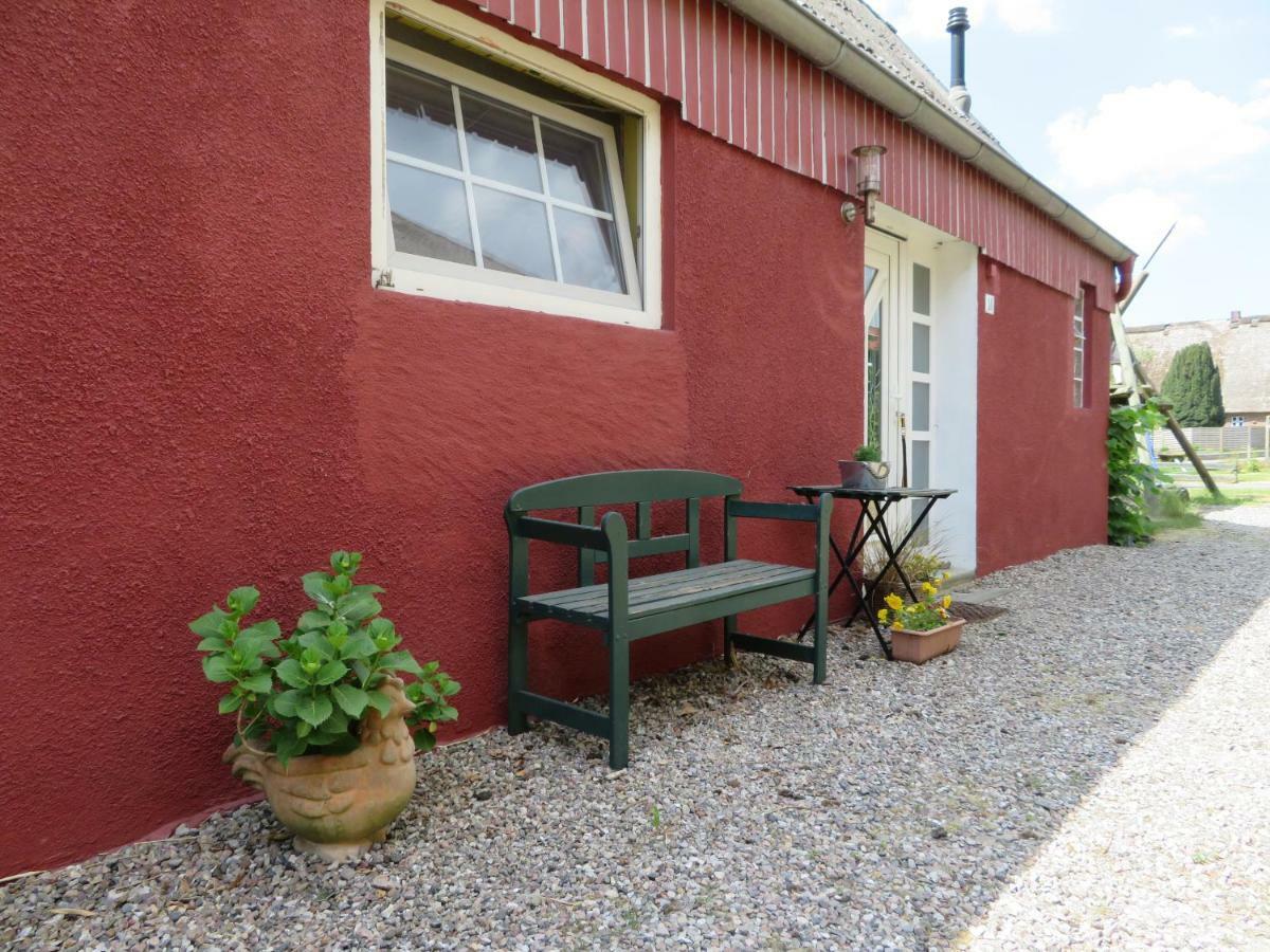 Vila Ferienhaus Auf Vier-Linden-Hof Kuden Exteriér fotografie